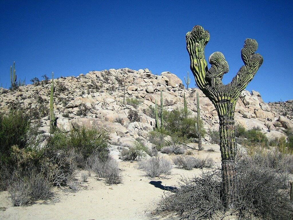 Baja California, panorama