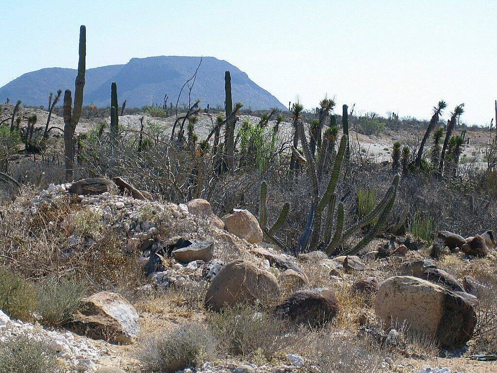 Baja California, panorama