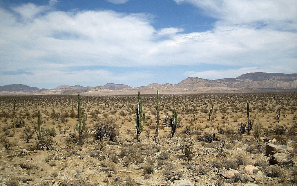 Baja California, panorama