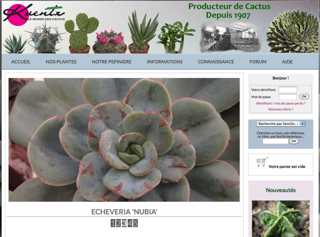 Kuentz cactus