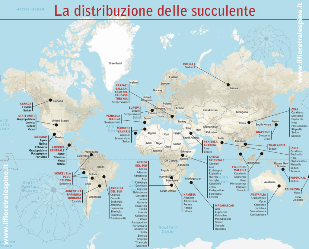 mappa distribuzione succulente