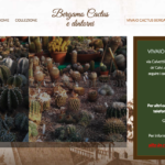 Bergamo Cactus e dintorni