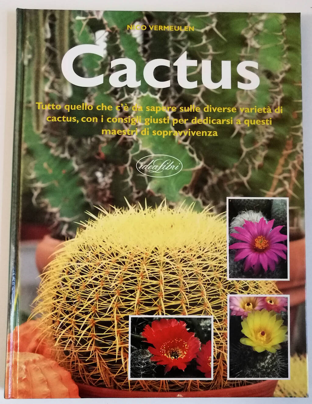 Cactus Nico Vermeulen