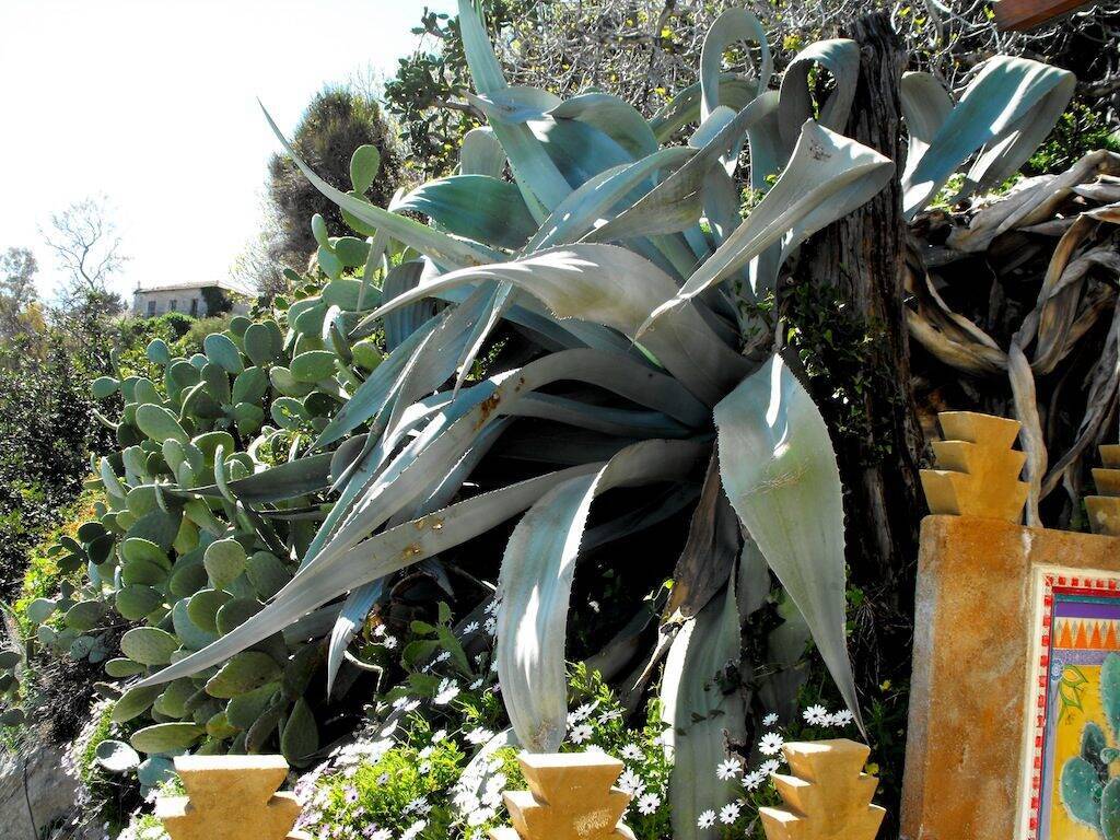 Pallanca giardino esotico