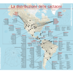 Mappa distribuzione cactus