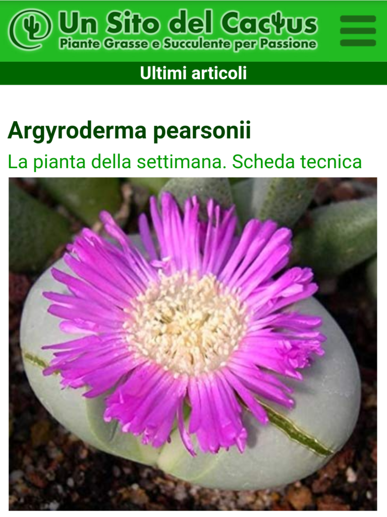 Un sito del cactus