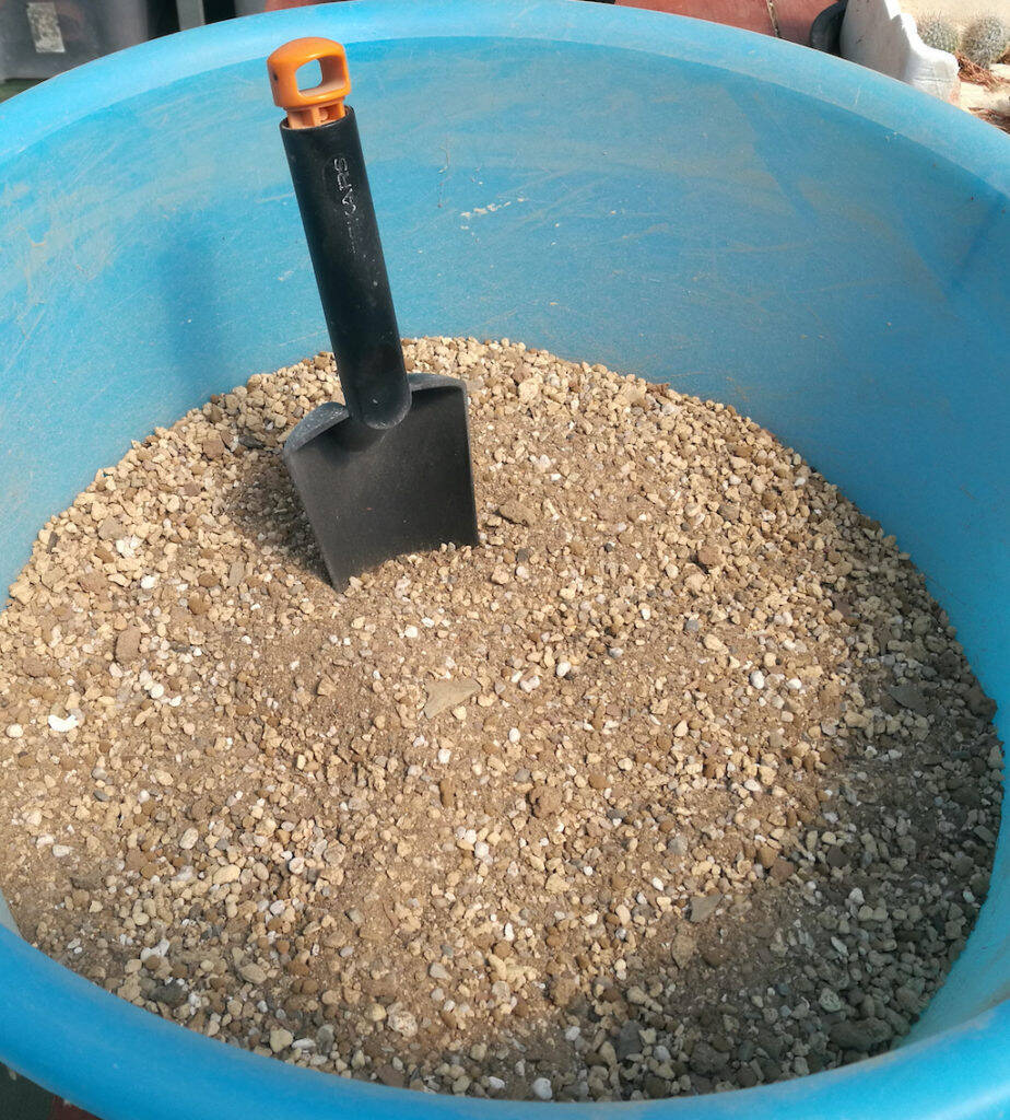 Terra di campo
