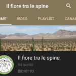 Canale Youtube Il fiore tra le spine