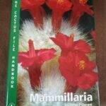 Mammillaria libro Pilbeam