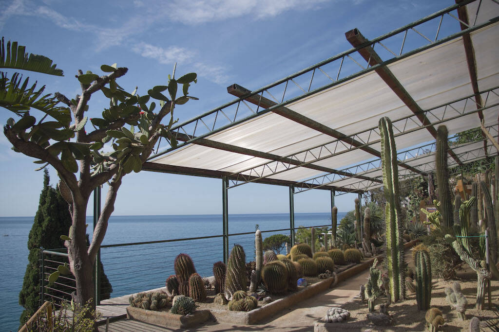 Il Giardino Esotico di Pallanca, un vero paradiso per gli amanti delle succulente: foto e video