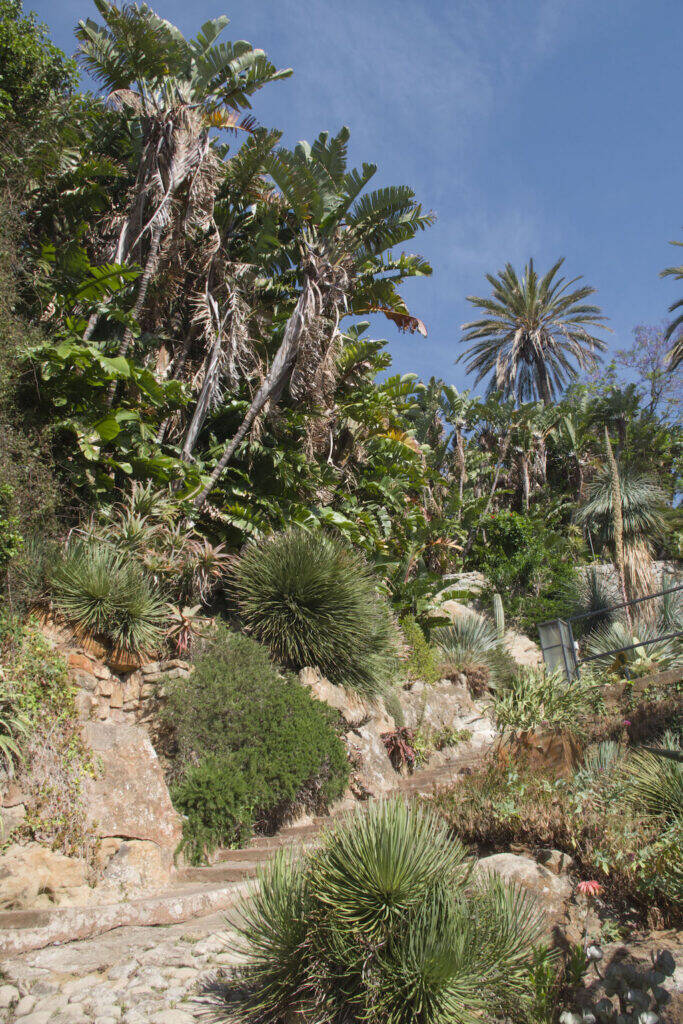 Giardino Esotico Pallanca 2022