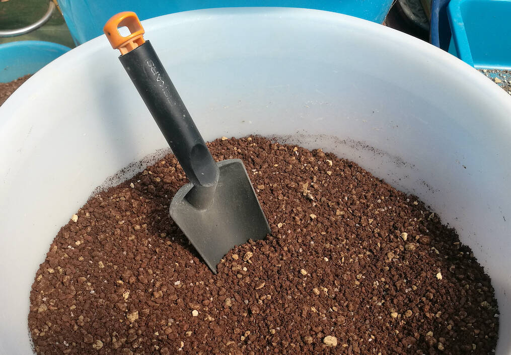 A good cactus potting soil with materials readily available in any nursery? Here is how to do it