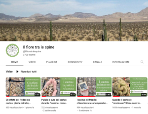 Youtube