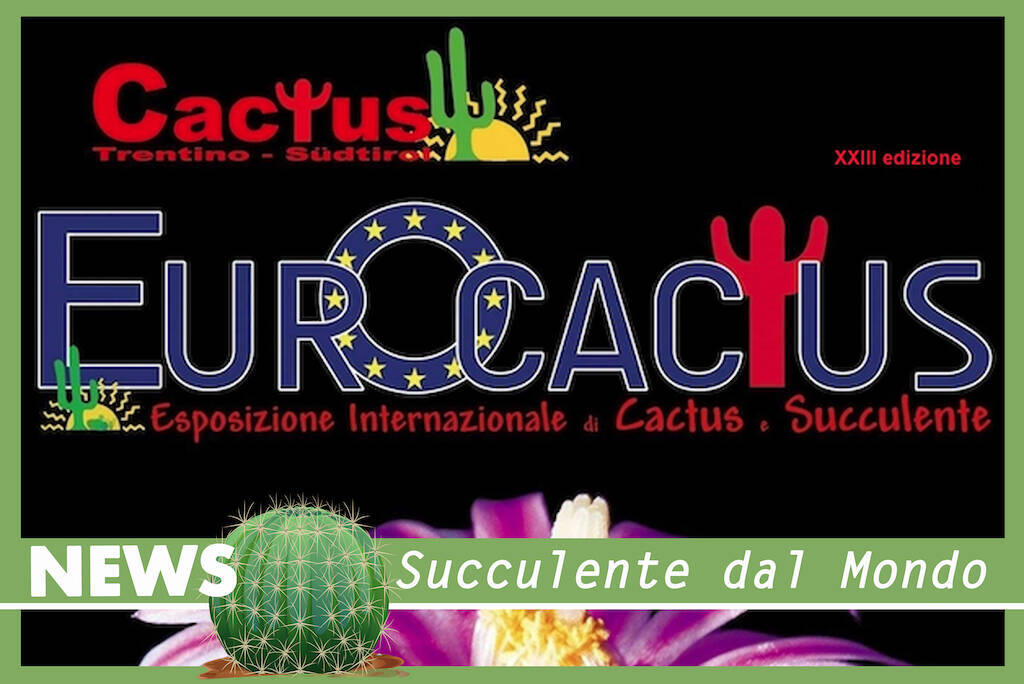 Il 27 e 28 maggio torna Eurocactus a Trento, la mostra mercato interamente dedicata a cactus e succulente