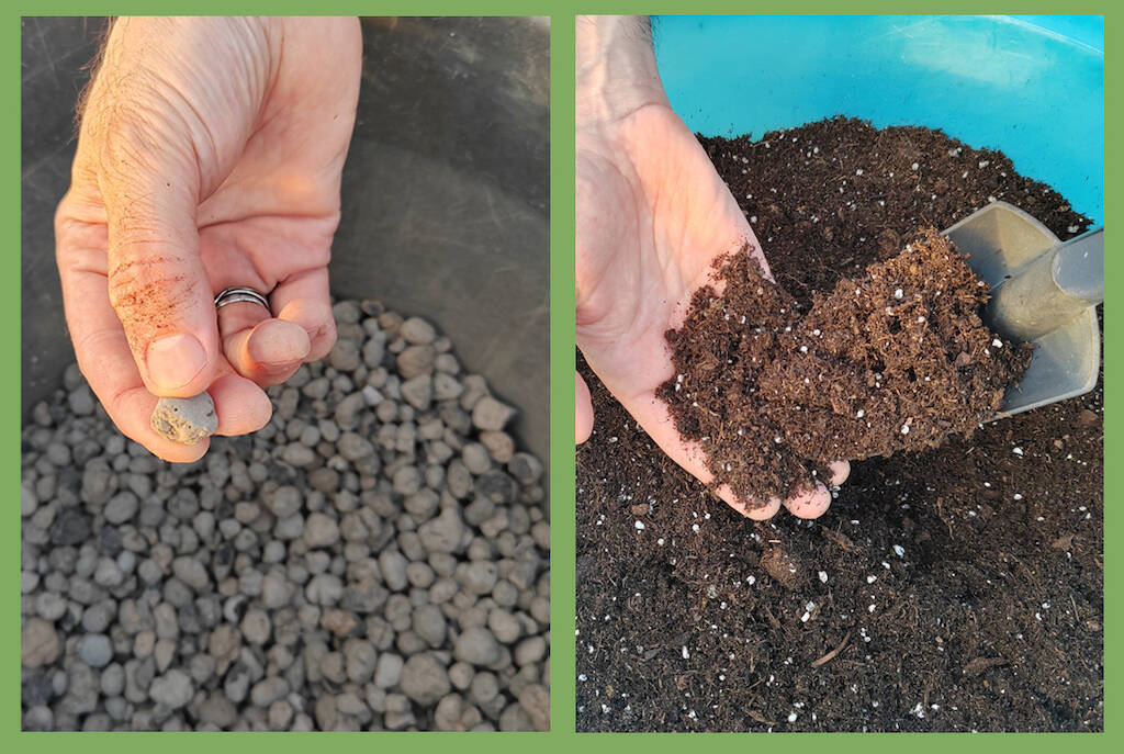 Argilla espansa e torba: sono davvero due materiali da evitare nella coltivazione delle piante grasse?