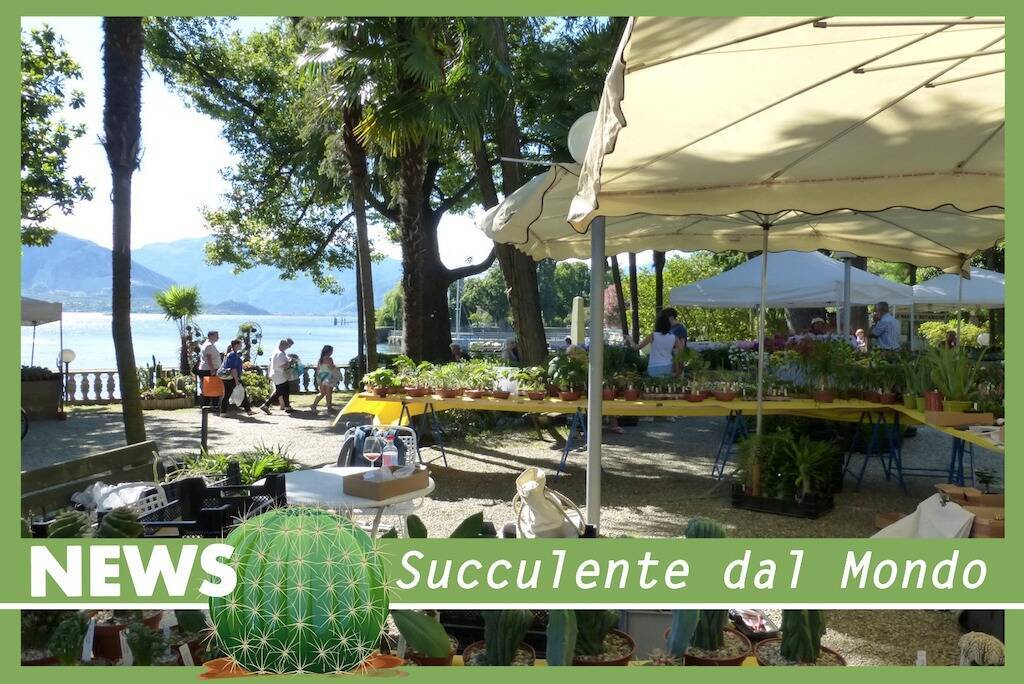 Dal 14 al 16 luglio 2023 il Lago Maggiore torna a fare da cornice alla mostra mercato “Cactus Folies”