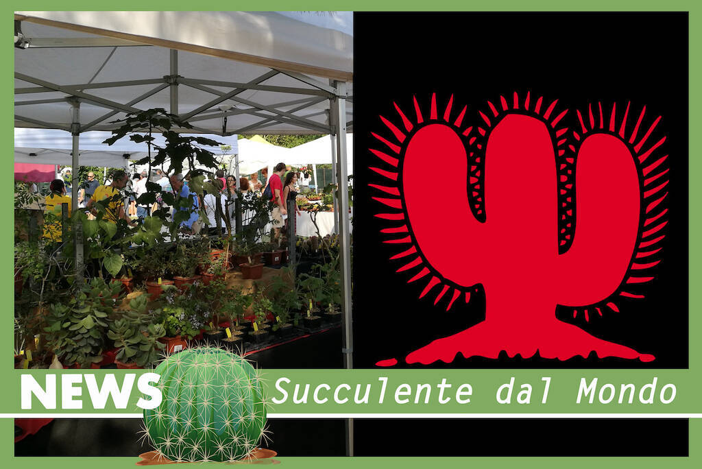 Festa del Cactus 2023: la mostra mercato di succulente più importante d’Italia diventa maggiorenne!