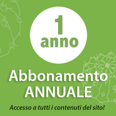 Abbonamento annuale italiano