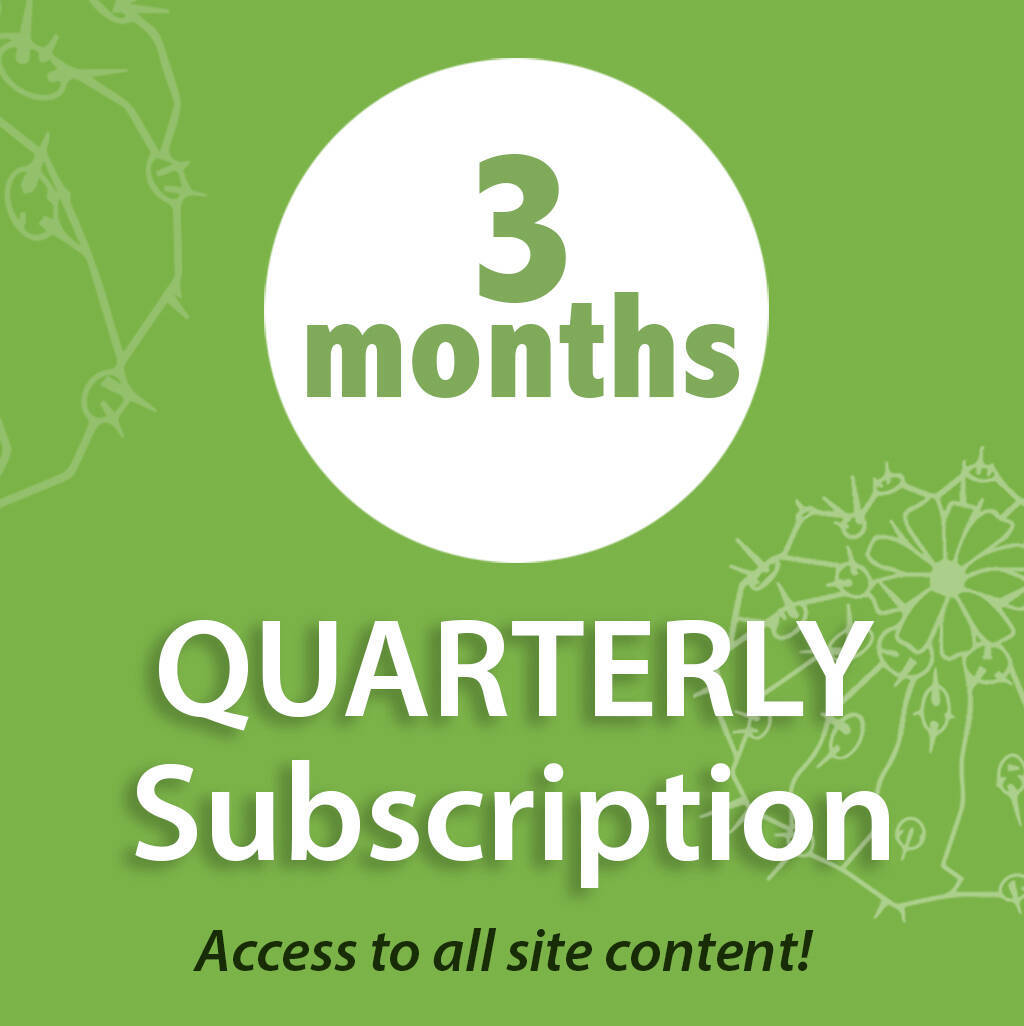 Quarterly Subscription Il Fiore Tra Le Spine Quarterly Subscription Il Fiore Tra Le Spine
