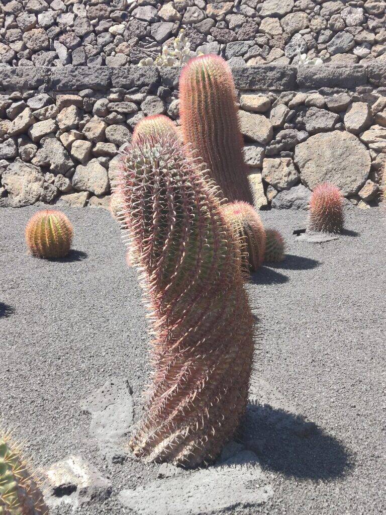 Giardino Lanzarote