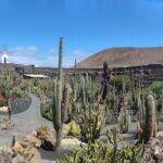 Giardino Lanzarote