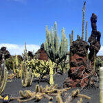 Giardino Lanzarote