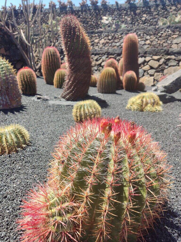 Giardino Lanzarote