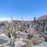 Giardino Lanzarote