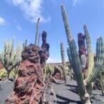 Giardino Lanzarote