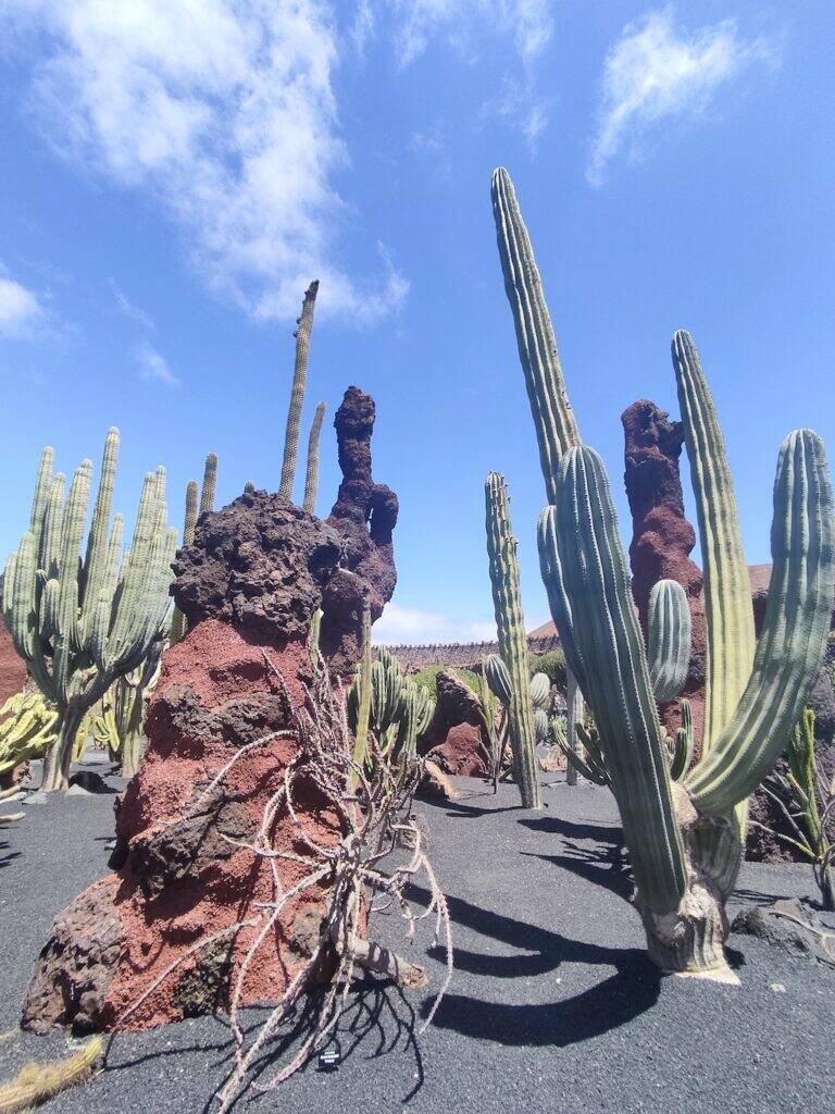 Giardino Lanzarote