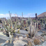 Giardino Lanzarote