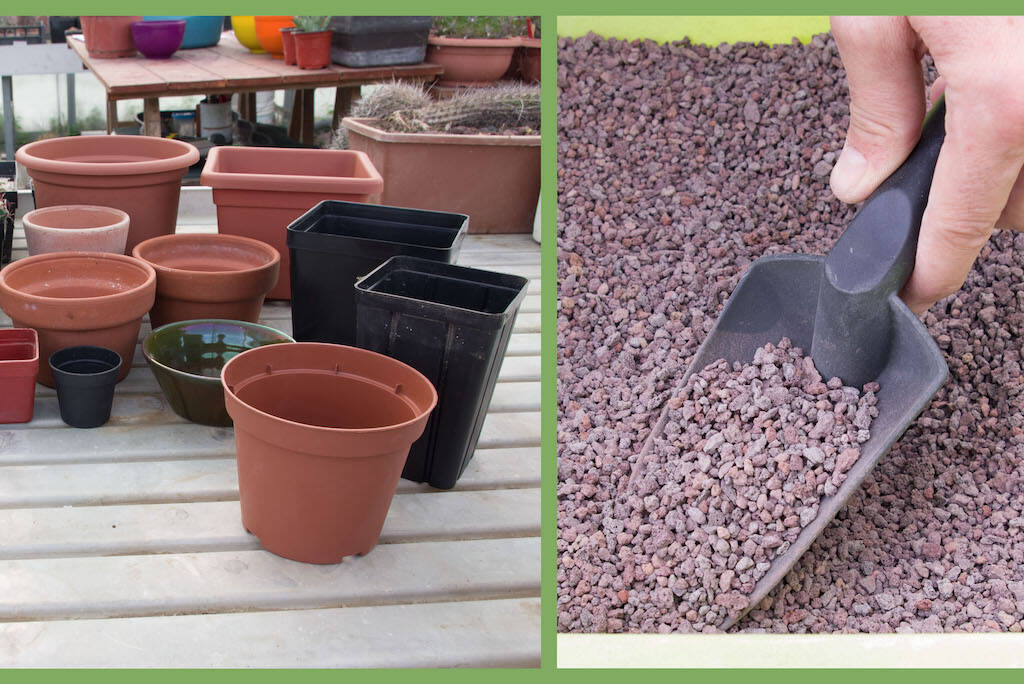 Pots and inert in the cultivation of succulents: can we recycle them or is it better to throw everything away?