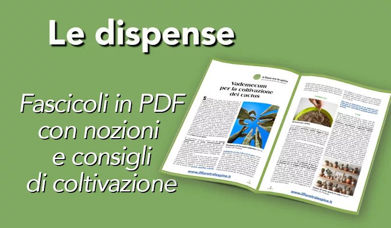 Dispense con nozioni e consigli di coltivazione dei cactus e delle piante grasse