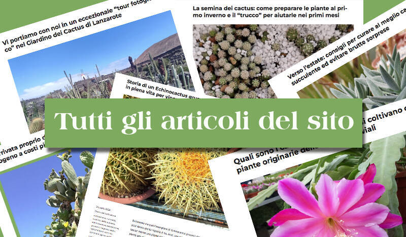 Articoli che trattano di cactus e piante grasse