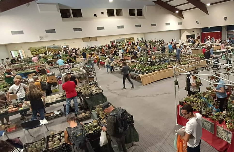 Gli stand di piante alla mostra Eurocactus 2023
