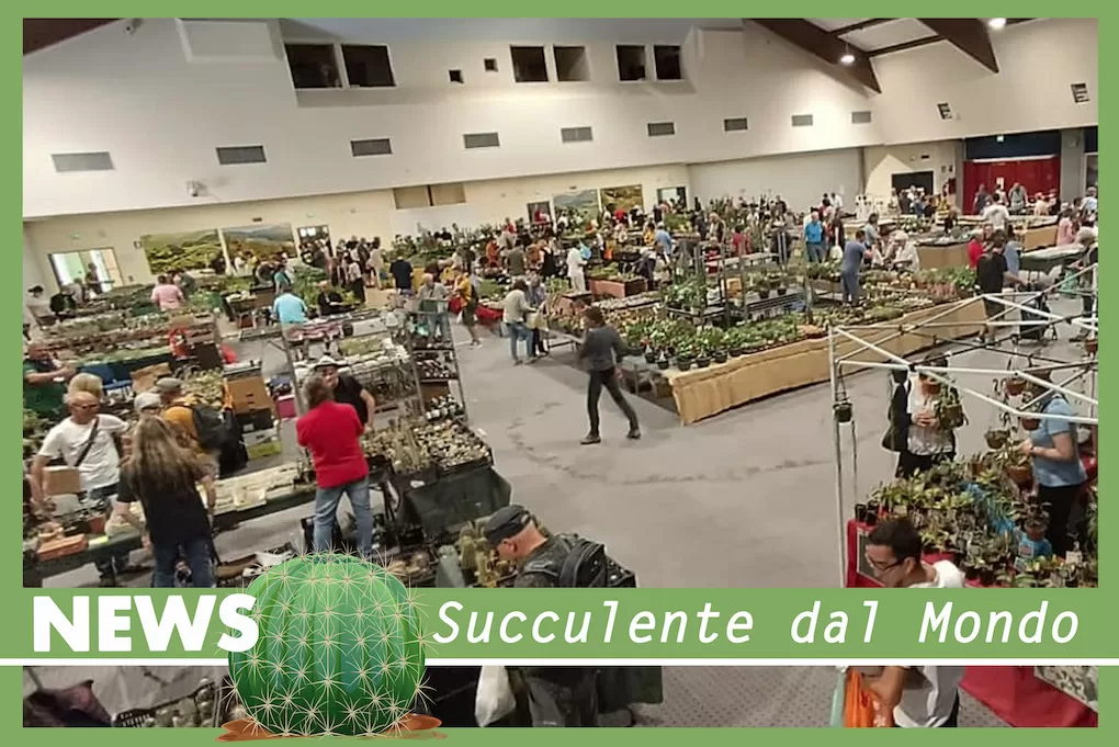 In maggio a Levico Terme (TN) Eurocactus 2024: esposizione internazionale di cactus e succulente