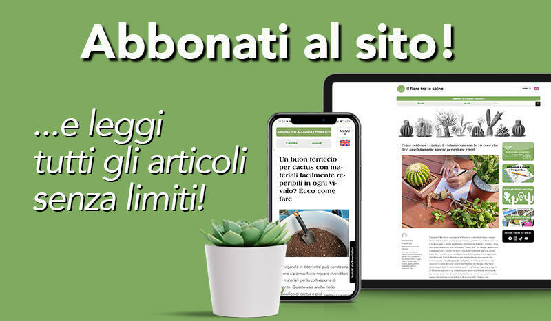 Abbonati al sito leggi tutti gli articoli di cactus e succulente