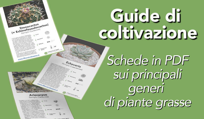 Guide alla coltivazione di piante grasse