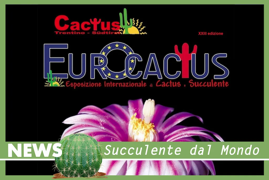 Eurocactus a Trento. Edizione del 2024