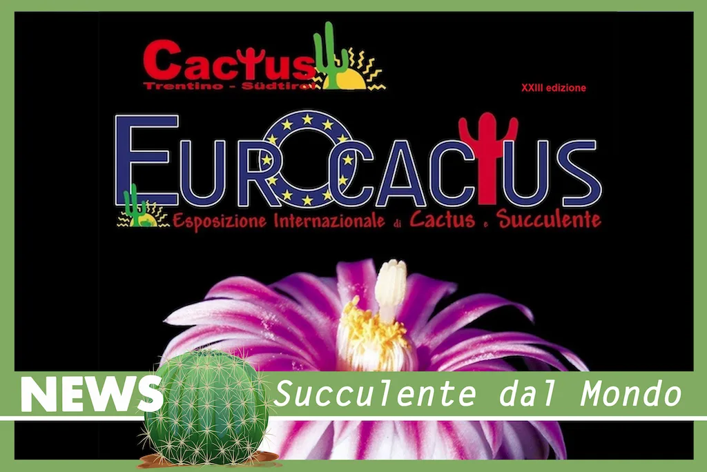 Eurocactus 2024: ecco tutte le informazioni, con la mappa degli stand e i nomi degli espositori