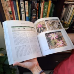 Manuale "La Coltivazione delle Cactacee" (ed. Edagricole, 2026)