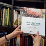 Manuale Cactus