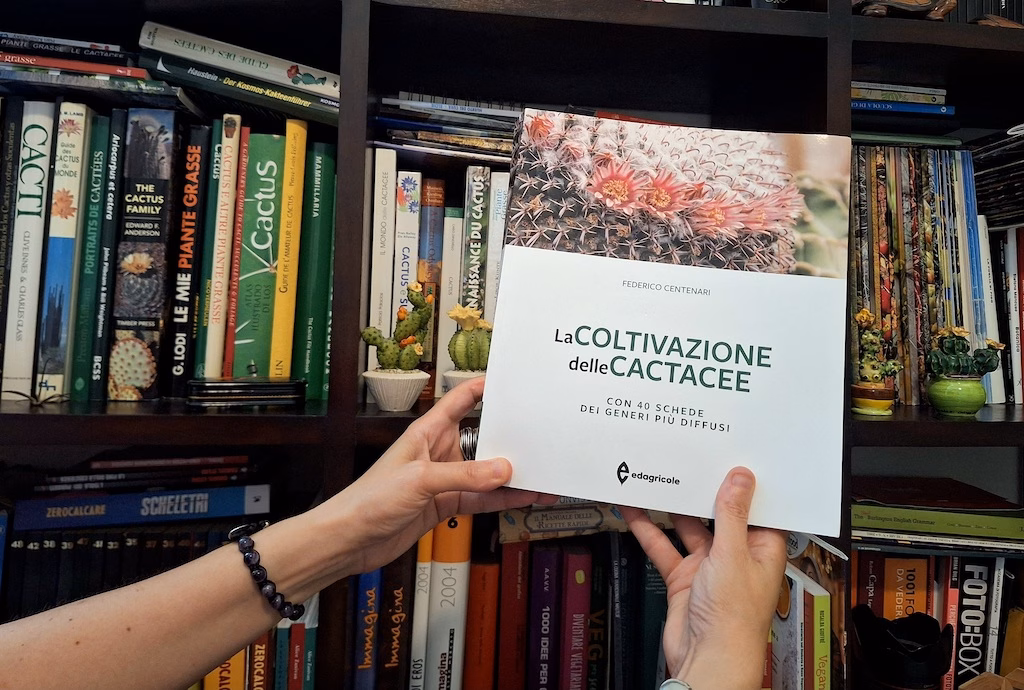 Manuale Cactus